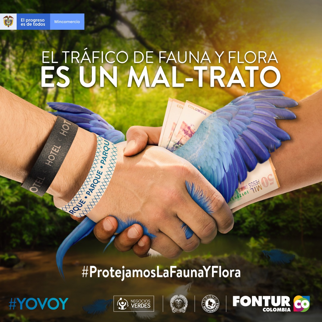 Imagen eliminada.